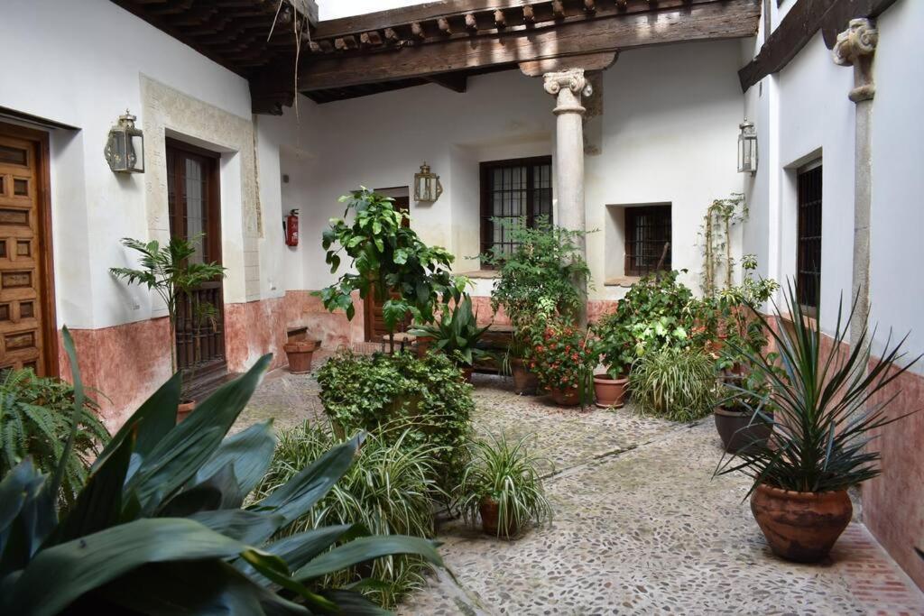 Apartamento 15th Century Palace With Beautiful Private Terrace
